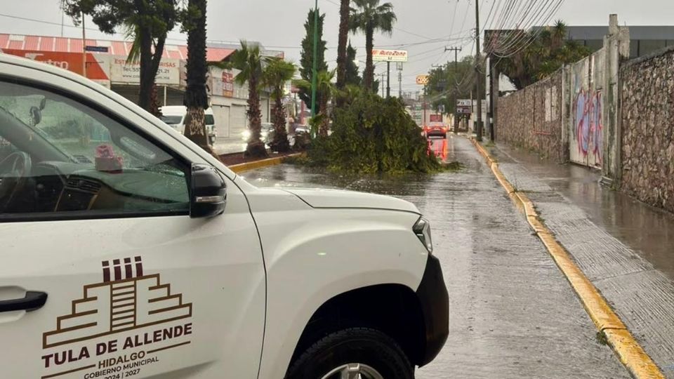 Elementos de Protección Civil atendieron las afectaciones por la lluvia