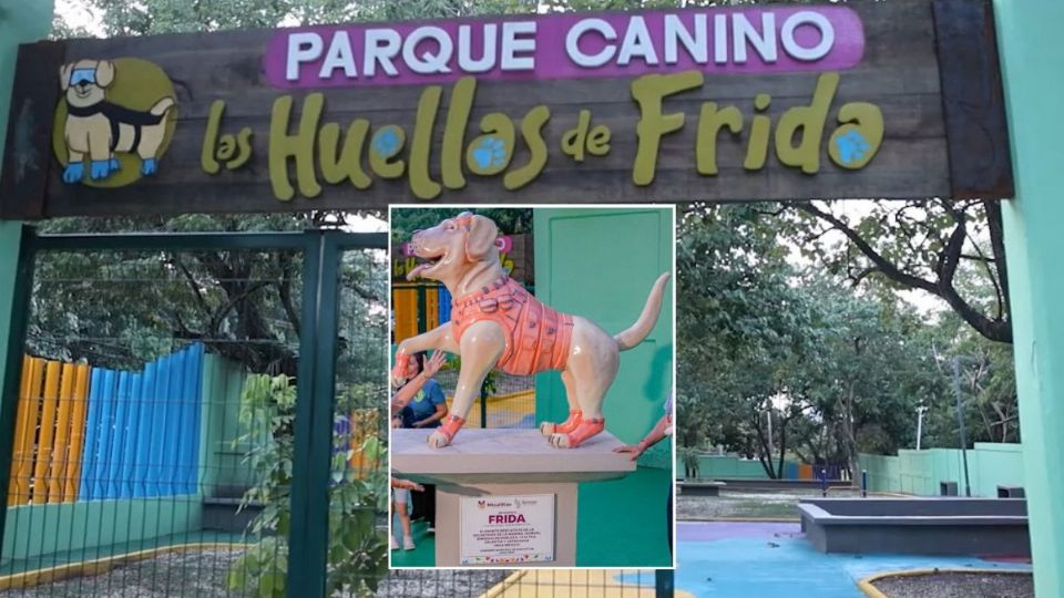 Las huellas de Frida: el primer parque para perritos en Minatitlán