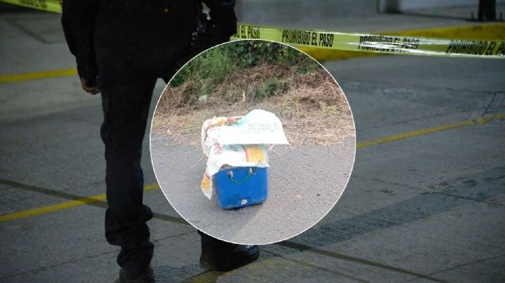 Abandonan hielera con restos humanos en Zongolica, Veracruz