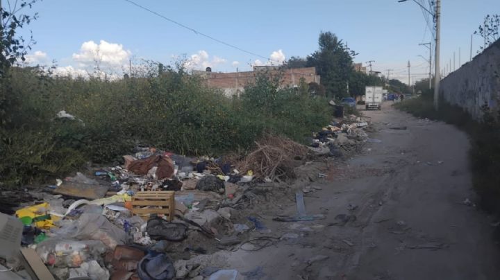 Animales muertos, basura y oscuridad, vuelven intransitable esta calle en la 10 de Mayo