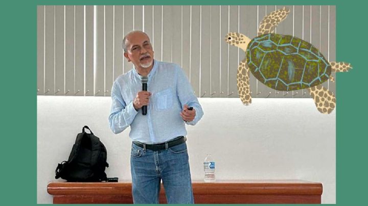 Tortugas marinas enfrentan amenazas críticas