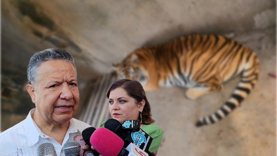 El gobernador mencionó que la Profepa se encarga de revisar la documentación de la fauna silvestre