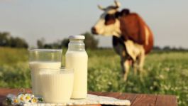 Foto que representa a México solamente produce 65% del consumo de leche nacional