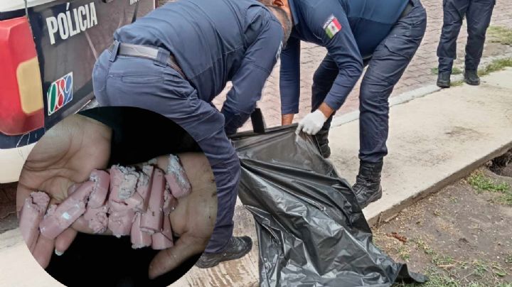 En dos semanas, envenenan a 4 perritos en el Valle del Mezquital