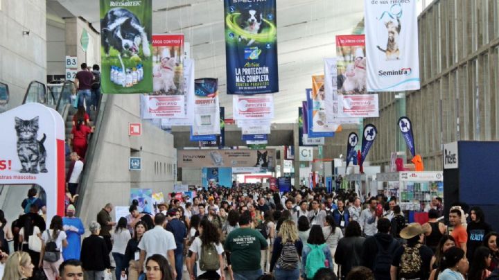 Veterinarios invaden León: arranca el Congreso Veterinario con 20 mil asistentes