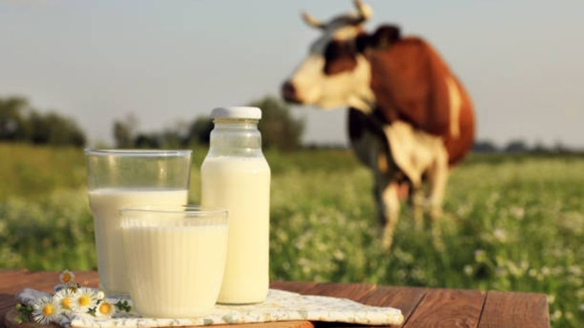 México solamente produce 65% del consumo de leche nacional