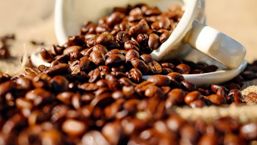 México: entre los 10 principales productores de café a nivel mundial