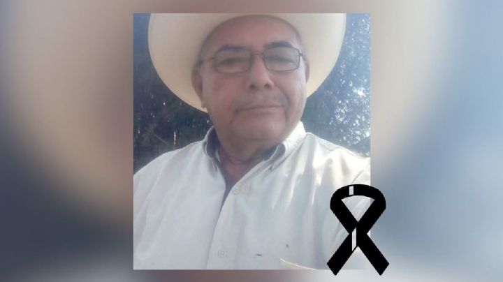 Muere exalcalde de Isla, Antonio Huerta, tras ser atacado por abejas africanas