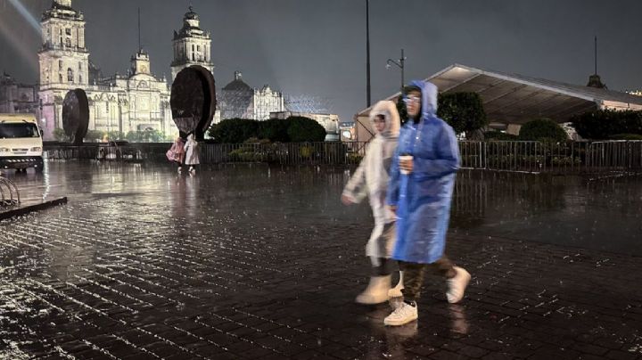 Lluvias CDMX: así atendieron 51 encharcamientos y 39 árboles caídos