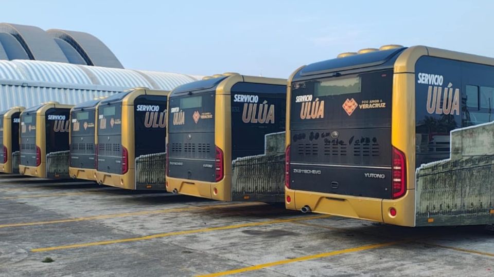Llegan camiones híbridos Ulúa para transporte público en Veracruz - Boca del Río