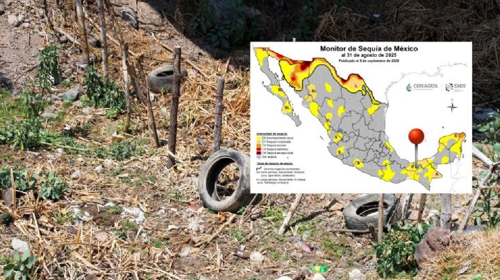 Sequía moderada afecta a estos 6 municipios de Veracruz
