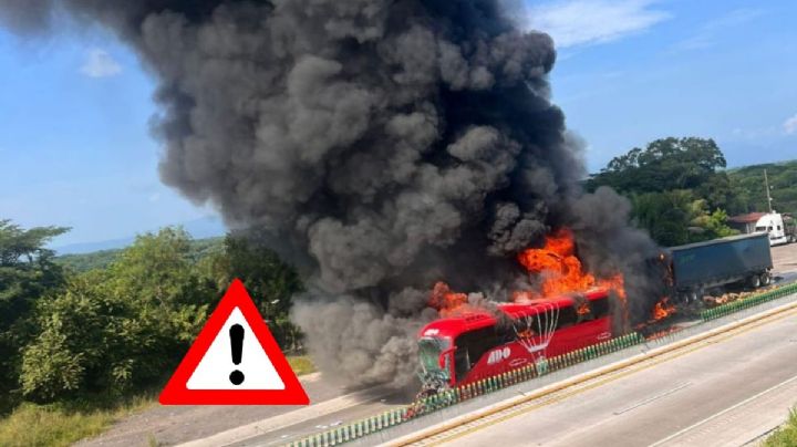 VIDEO: Tras choque, se incendian ADO y tráiler en autopista Córdoba - Veracruz