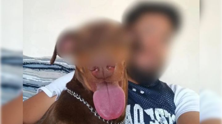 Denuncian un caso de zoofilia en Celaya