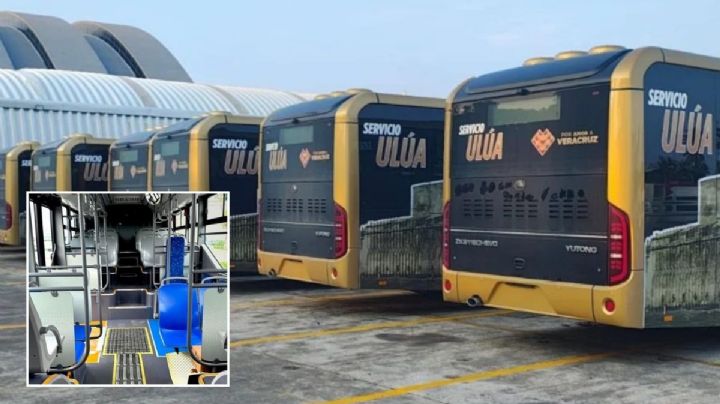 Camiones Ulúa circularán en Veracruz-Boca del Río en octubre; así funcionarán
