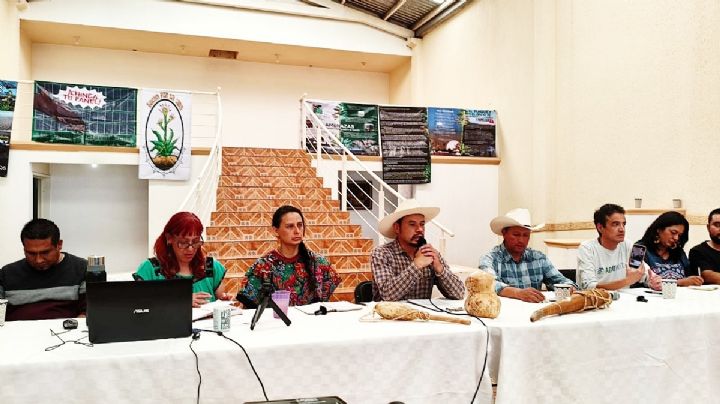 Campesinos, tlachiqueros y activistas piden cancelar parque fotovoltaico en Epazoyucan y Singuilucan