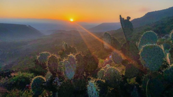 Llegan lloviznas a Guanajuato este sábado 10 de enero