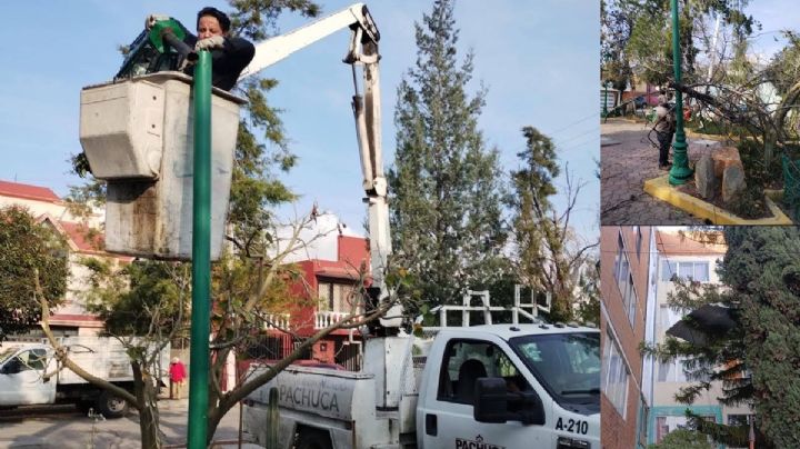 Viento extremo en Pachuca: estas fueron todas las afectaciones; ¿cómo estará hoy domingo?