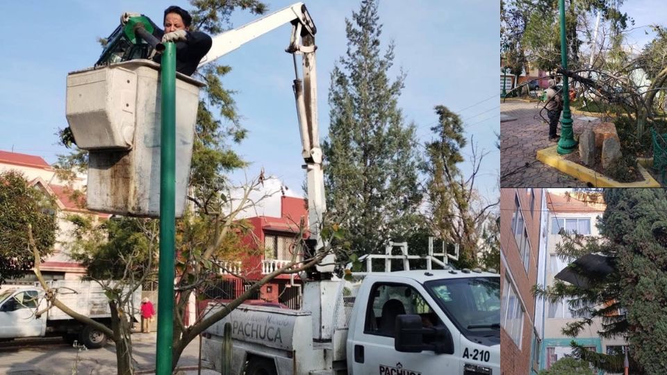 Policía municipal, protección civil e incluso bomberos atendieron las afectaciones