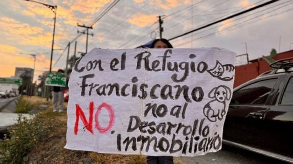 Protestas por desalojo de predio usado como refugio de perros para un desarrollo inmobiliario