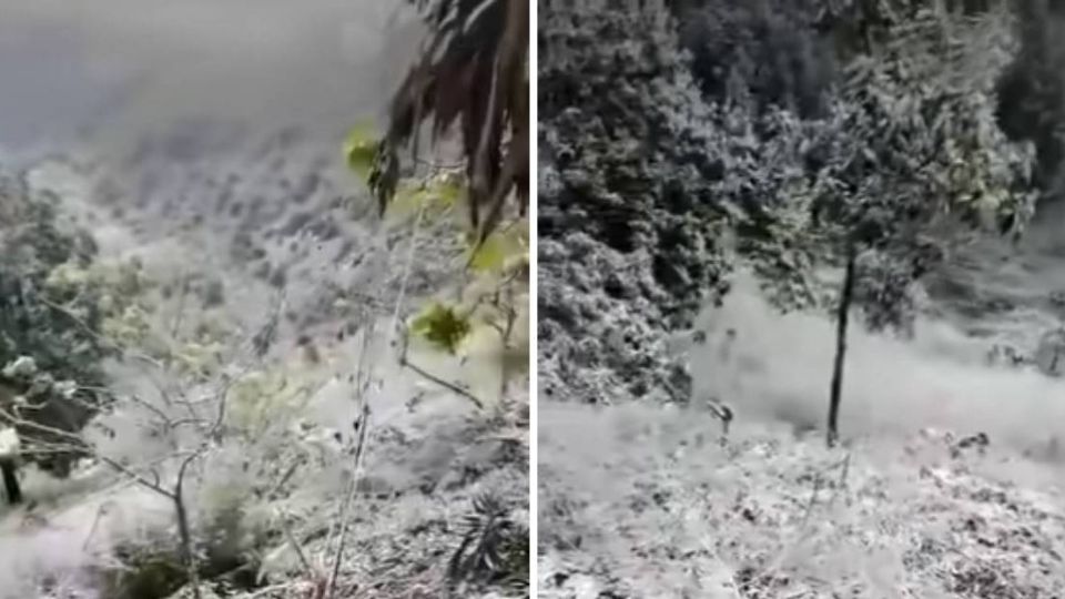El intenso frío provocó caída de nieve en Querétaro, en la frontera con Guanajuato.