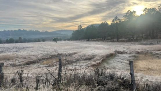 Clima en Guanajuato: Municipios con más probabilidad de lluvia hoy miércoles14 de enero