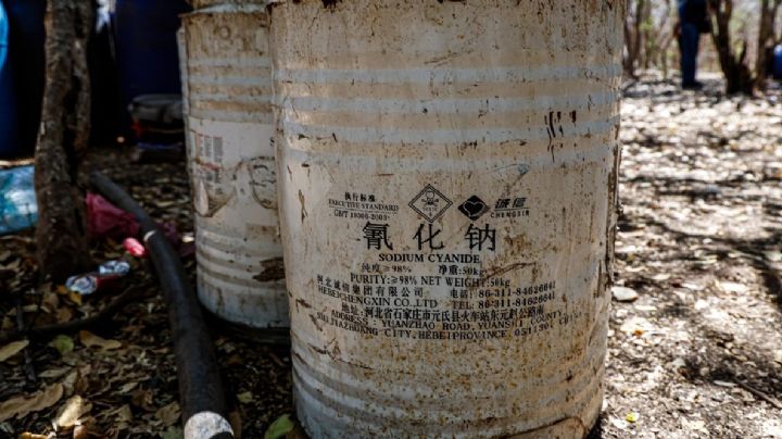 En medio de guerra contra Los Mayos, hijos del “Chapo” Guzmán fortalecen sus conexiones chinas