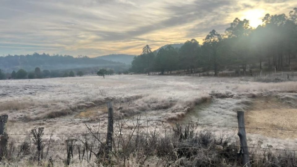 Victoria amanecerá hoy con 6 grados centígrados.