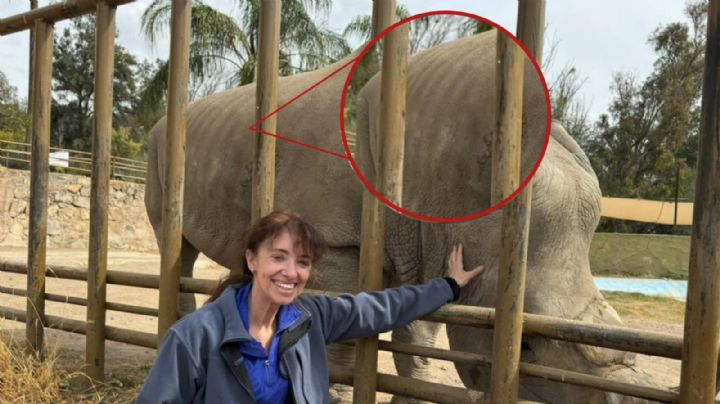 Tras el maltrato de animales, León contrata a una veterinaria de EEUU para salvar el Zoológico