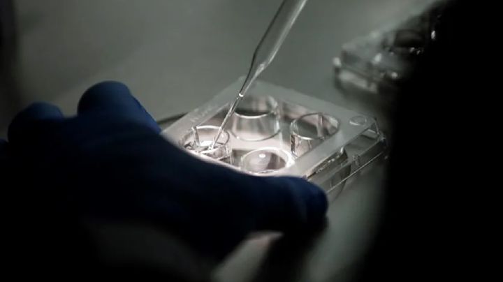 Rechaza SCJN amparar a padre que se negaba a reconocer a hija fecundada in vitro