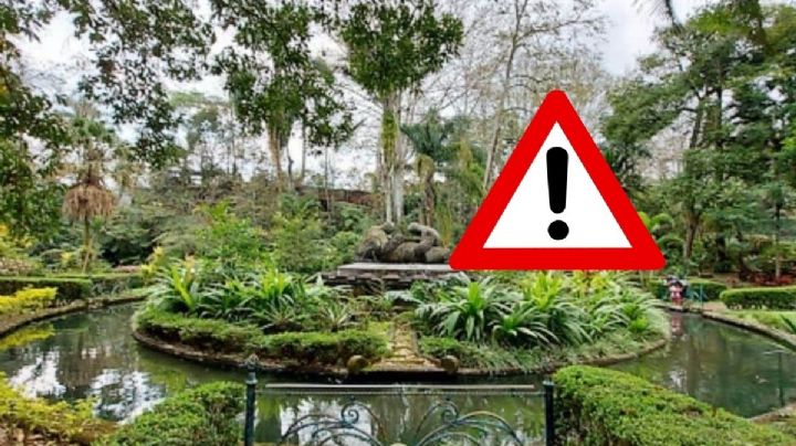 Norte fuerte en Xalapa: reabren parques cerrados temporalmente