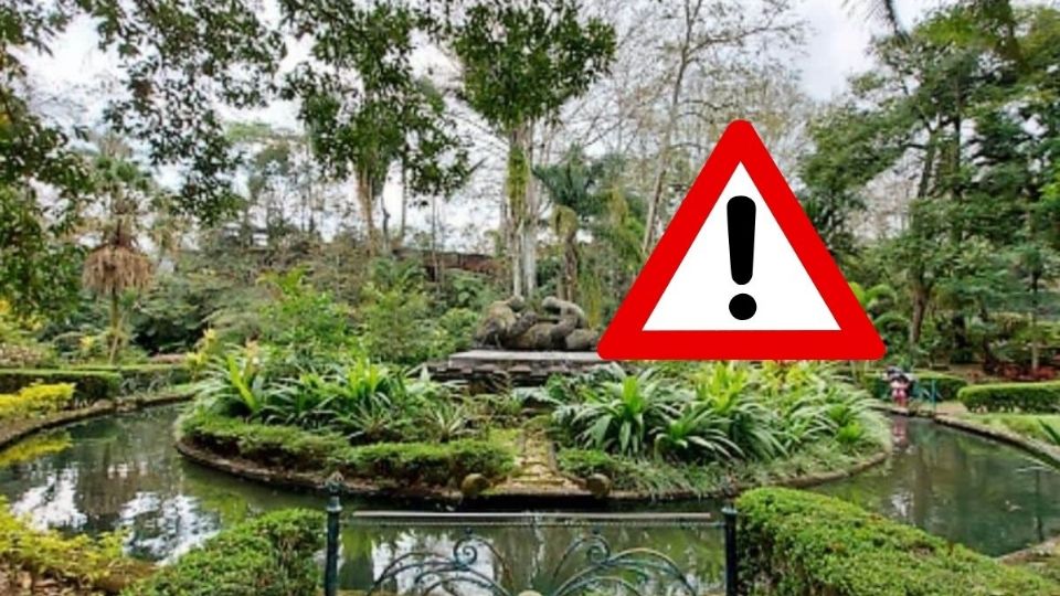 Norte fuerte en Xalapa: autoridades cierran temporalmente estos 5 parques