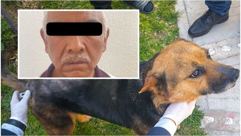 Demetrio N trató de alegar a su favor el probable abuso sexual al perro