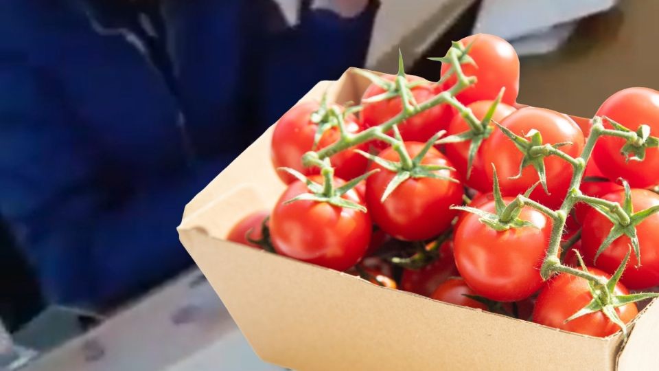 En redes sociales circula un video donde ciudadanos son registrados, afiliados a Morena a cambio de jitomates y un voto