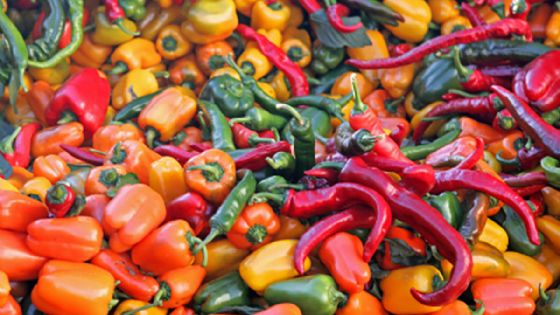 ¿Cuáles son los chiles más famosos y su nivel de picor?