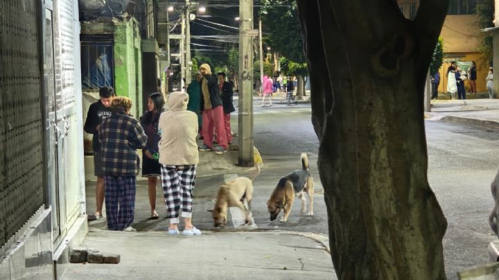 Se reporta saldo blanco en CDMX tras sismo con epicentro en San Marcos, Guerrero