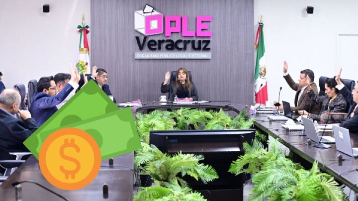 Aprueba OPLE topes de gastos de precampaña y campaña para elección extraordinaria de Tamiahua