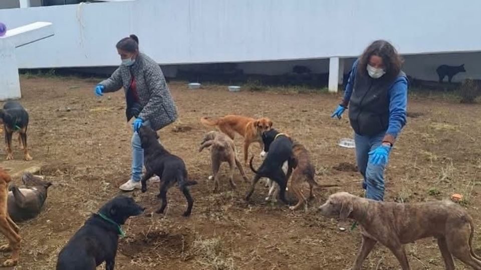 Refugio Franciscano accede al albergue del Ajusco sin realizar censo y por tiempo limitado