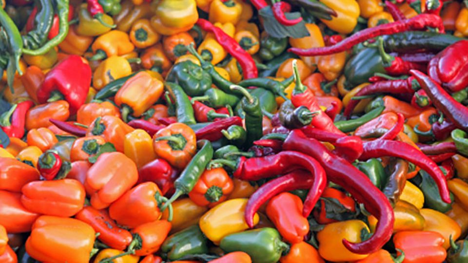 ¿cuáles son los chiles más famosos y su nivel de picor?