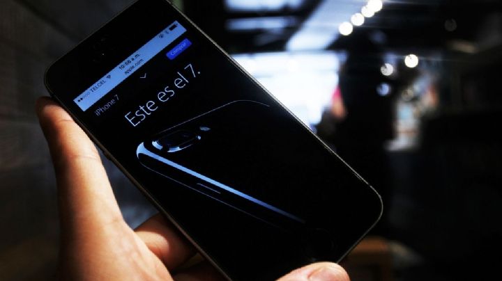 ¿Registraron tu celular sin saberlo? Qué hacer si usaron tu CURP