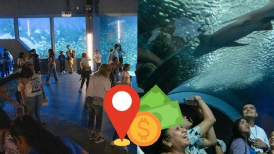Los pobladores de estos 8 municipios entran con descuento al Aquarium de Veracruz