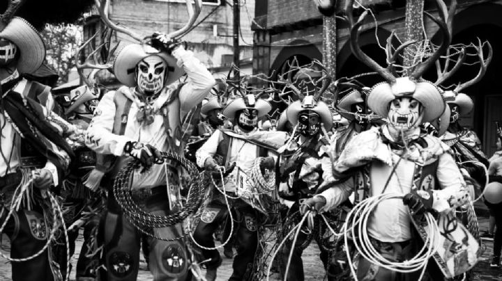 David Eurosa Luna retrata la cultura del maguey y gana por segunda ocasión  “México en una Imagen”