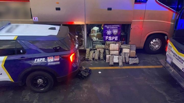 Detectan paquetes de mariguana en un autobús Primera Plus