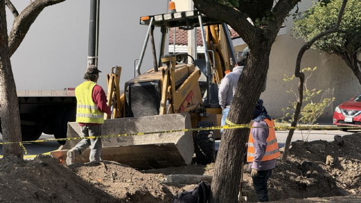 Esto costará el nuevo camellón frente a la Carnicería D´Marco en bulevar Bocanegra