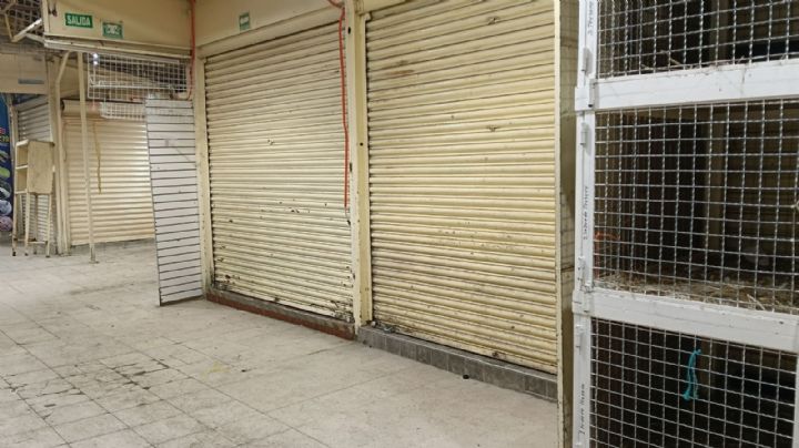 Venta de animales en mercado de Sonora continúa, pero sin jaulas a la vista