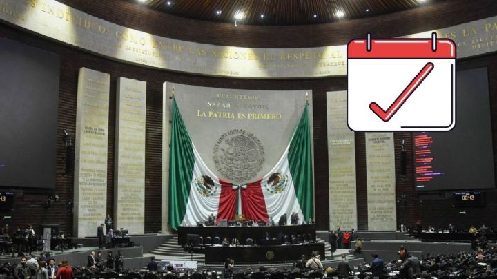 Sobre las agendas legislativas