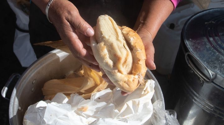 Guajolota: la historia detrás de la torta de tamal que salva del hambre mañanera a chilangos