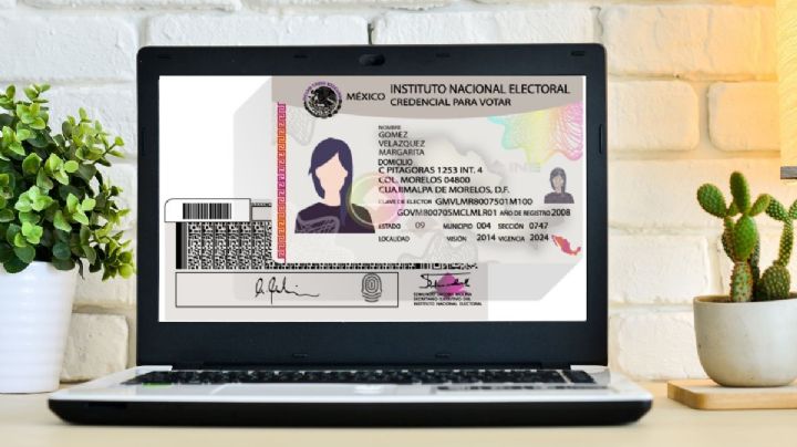 ¿Qué sería lo ideal para el ejercicio del voto?