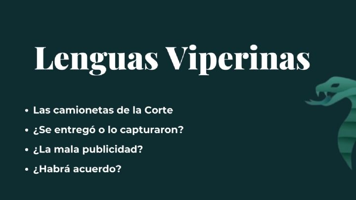 Lenguas Viperinas