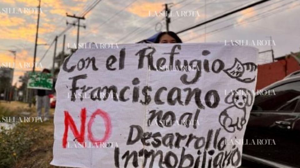 Sobre los animales, el litigante afirmó que la meta del patronato es que los perros y gatos también regresen a su hogar eventualmente