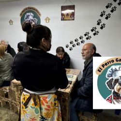 El Perrito Garnachero: antojitos con causa que apoyan a lomitos rescatados en Xalapa